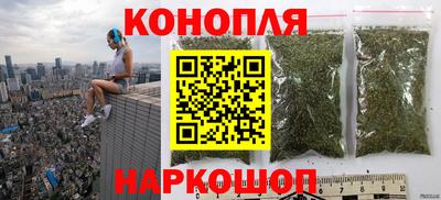spice Обь