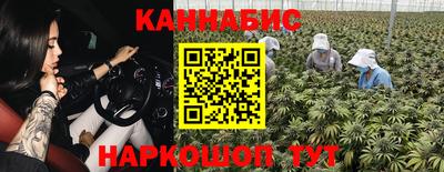spice Обь