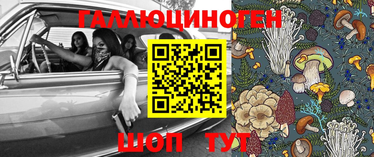 продажа наркотиков  Псилоцибиновые грибы Cubensis  Вход с VPN  Советск 