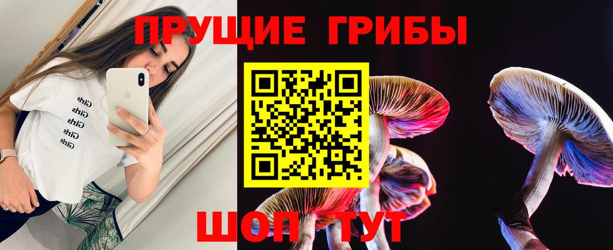 Псилоцибиновые грибы Psilocybine cubensis Советск